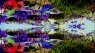 Un Bouquet