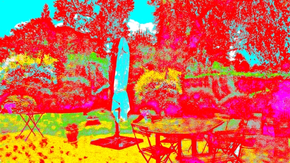 Il y avait un jardin